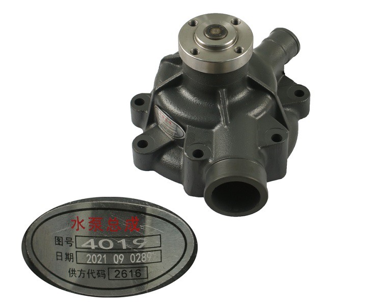 1000054019-D11 1000054019-D11