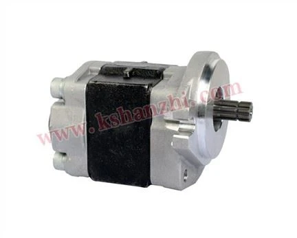 हाइड्रोलिक गियर पंप C240/ H2000 (SGP1A32D2H9-L267) के लिए इस्तेमाल किया